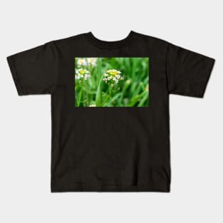 Cardamine pratensis Kids T-Shirt